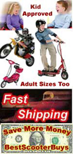 Scooters for adult, teen and kids